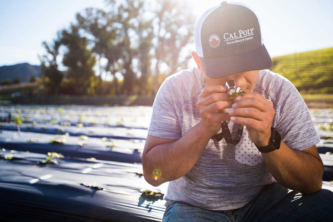 Downtown Austin, Texas skyline