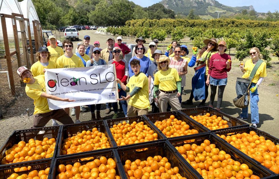 Group of GleanSLO volunteers standing in a citrus orchard behind bins filled with freshly harvested oranges, smiling and holding a banner for the food rescue program.