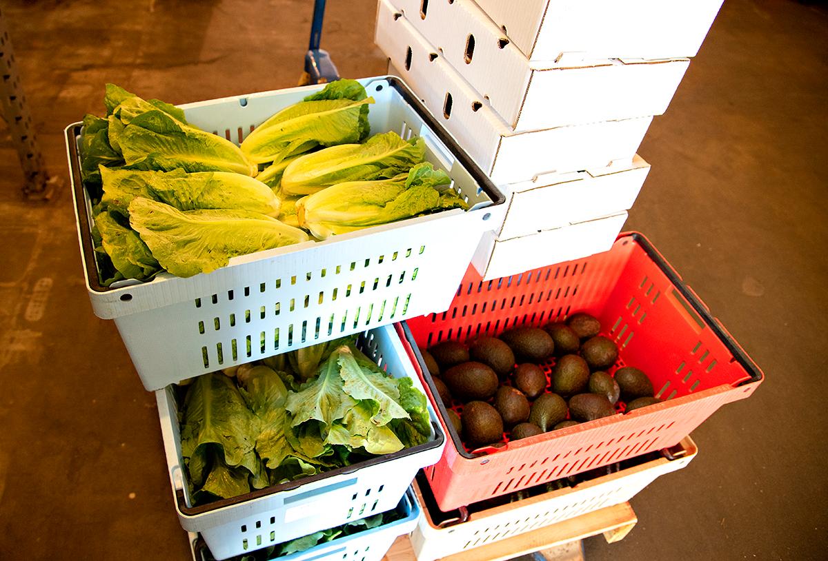 Organic fruits and vegetables