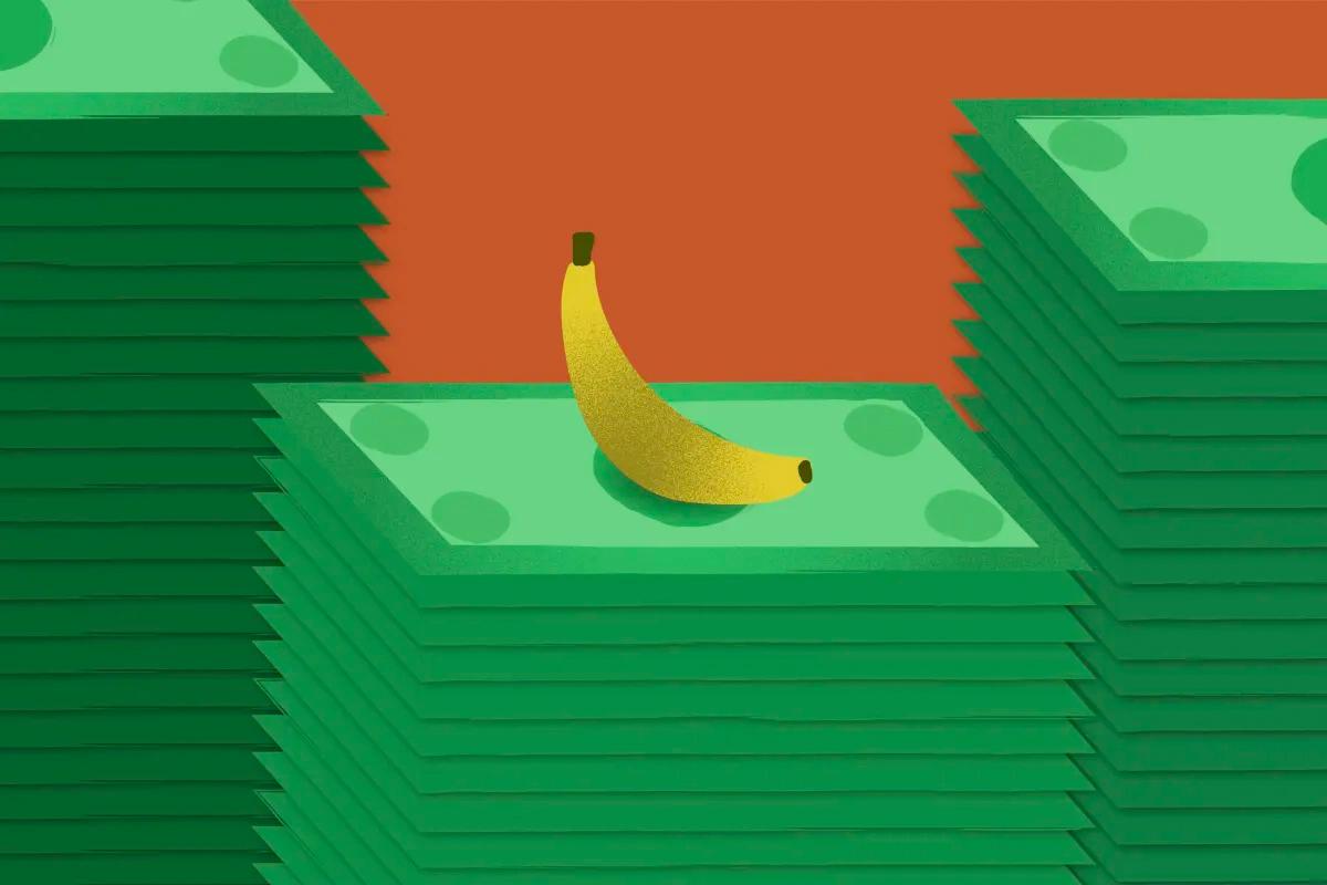 Where do surplus Campus Dining dollars go?