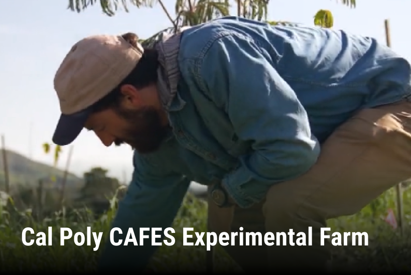 Cal Poly CAFES Experimental Farm